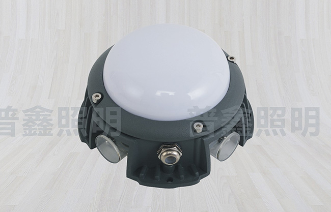 點光源系列 DGY-039 點光源系列 DGY-039