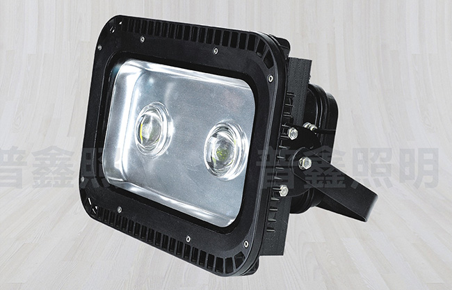 隧道燈系列 SDD-018