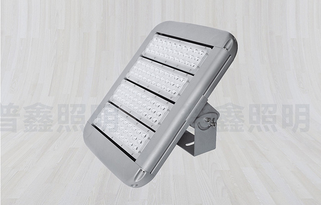 隧道燈系列 SDD-020